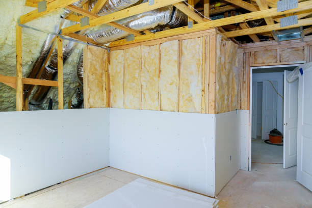 Best Residential Insulation Services  in USA