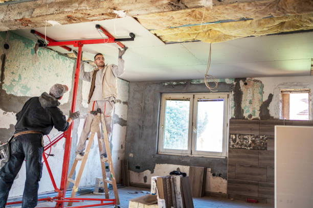 Best Insulation Removal Services  in USA